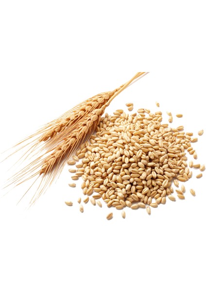 Siyez Sirkesi / Einkorn Wheat Vinegar 500 ml