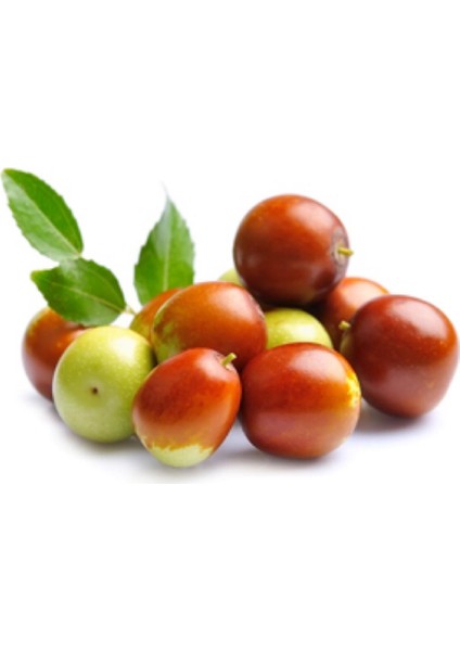Hünnap Sirkesi / Jujube Vinegar 500 ml