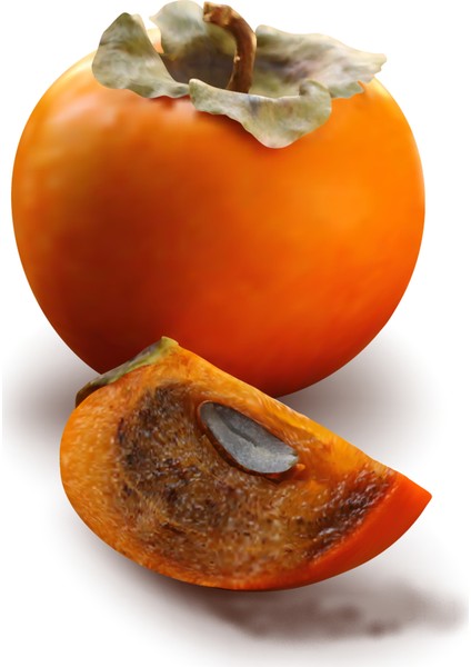 Cennet Meyvesi Sirkesi / Persimmon Vinegar 500 ml