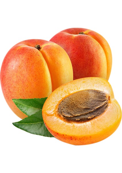 Alyanak Kayısı Sirkesi / Apricot Vinegar 500 ml