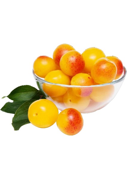 Güvem Eriği Sirkesi / Sloe Vinegar 500 ml modelleri