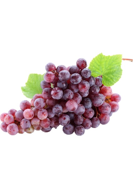 Kokulu Misket Üzüm Sirkesi / Muscatel Vinegar 500 ml modelleri