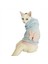 Blue Pink Bunny Sweatshirt Kedi Süeteri Kedi Kıyafeti 1