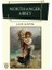 Northanger Abbey - Jane Austen 1