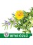 Herbal Kalıp Sabun 90 GR X 2 Adet 3