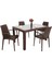 Elit Rattan 90x150 4 kişilik Nirvana Koltuk Camlı Masa Takımı 1