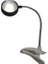 Morzahome Kıskaclı Saat Pilli LED Kitap Okuma-Yukseklik : 15 cm 2