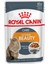 Intense Beauty Soslu Kedi Konservesi 85 gr 12'li Set 1