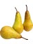 Akça Armut Sirkesi / Pear Vinegar 500 ml 4