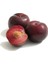 Anjelika Erik Sirkesi / Angeleno Plum Vinegar 500 ml 3