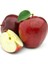 Red Delicious Elma Sirkesi / Apple Cider Vinegar 500 ml 4