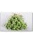 Izmir Bilye Kekik Sirkesi / Oregano Vinegar 500 ml 4