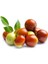 Hünnap Sirkesi / Jujube Vinegar 500 ml 3