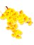 Ginkgo Biloba Sirkesi / Ginkgo Vinegar 500 ml 3