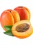 Alyanak Kayısı Sirkesi / Apricot Vinegar 500 ml 3