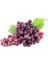 Kokulu Misket Üzüm Sirkesi / Muscatel Vinegar 500 ml 3