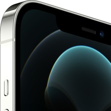 iPhone 12 Pro Max 256 GB Gümüş