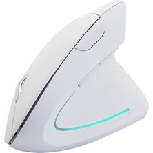 Cloody Dikey Ergonomik Kablosuz Mouse (Pilli)