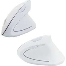 Cloody Dikey Ergonomik Kablosuz Mouse (Pilli)