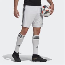 Adidas Erkek Futbol Şortu Squad 21 Sho GN5773