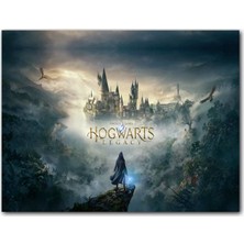 Cakatablo Ahşap Tablo 2021 Harry Potter Oyunu Görseli