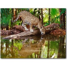 Cakatablo Ahşap Tablo Ormanda Su Içen Leopar Görseli