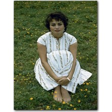 Caka Tablo Ahşap Tablo Sophia Loren Çimlerde