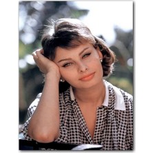 Caka Tablo Ahşap Tablo Sophia Loren Işıltılı