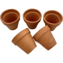Nadir Kaktüs 5 Adet El Yapımı 6 cm Terracotta Seramik Saksı (6cm x 6cm)