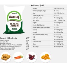 Cegel Ziraat Avantaj 15.15.15+%15 S03+ME Kompoze Gübre 50 kg