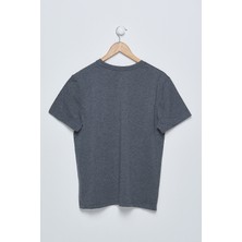 D'or Chıton Erkek Gri Basic T-Shirt