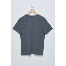 D'or Chiton Erkek Gri V Yaka T-Shirt