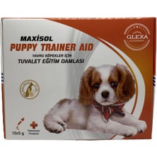 Glexa Maxisol Puppy Trainner Aid