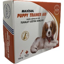 Glexa Maxisol Puppy Trainner Aid