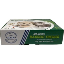 Maxisol Maxident Fresher Kedi ve Köpekler Için Diş Bakım Damlası