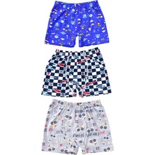 Pemilo Erkek Çocuk 254 Desenli 3'lü Boxer Renkli
