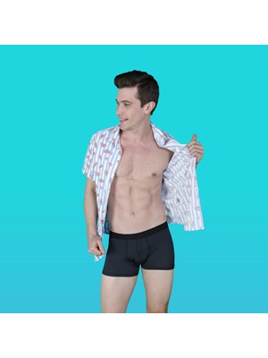 hippopants Mikromodal Boxer Dark Matter