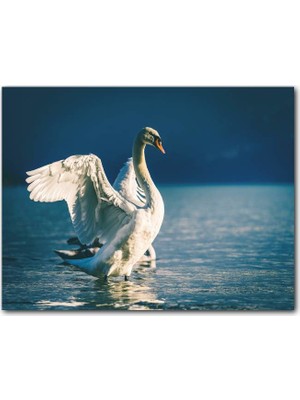 Cakatablo Ahşap Tablo Gölde Kanatlarını Çırpan Beyaz Kuğu