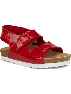 Vicco 321.F21Y.360 Last Vicco 31-36