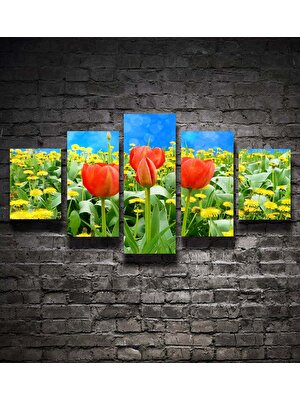 Dekorme 5 Parçalı Çiçek Kanvas Tablo 110 x 60 cm