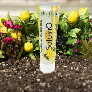 Salpino Propolisli Misvaklı Diş Macunu 60 gr