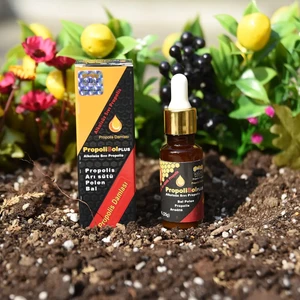 Propolisol Plus Alkolsüz Propolis Damlası 30 ml