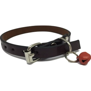 Kahverengi Zilli Deri Tasma