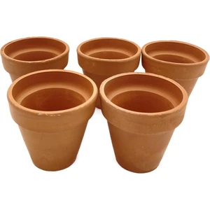 Nadir Kaktüs 5 Adet El Yapımı 6 cm Terracotta Seramik Saksı (6cm x 6cm)
