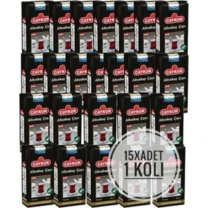 Altınbaş 500 gr 15 'li    1 Koli