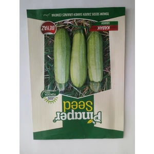 Dörtbudak Pinaper Beyaz Kabak Tohumu 10 gr