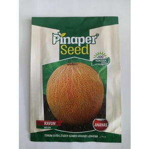 Dörtbudak Pinaper Kavun Ananas Tohumu 10 gr