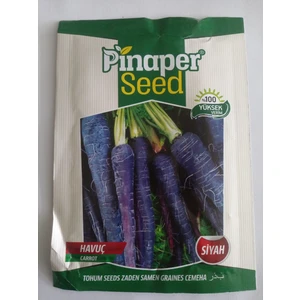 Dörtbudak Pinaper Siyah Havuç Tohumu 10 gr