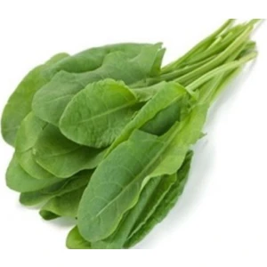 Akgen Kuzu Kulağı Tohumu Aksel 5 gr