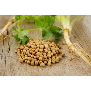 Murat Tohum Kişniş Tohumu Geleneksel Kişniş Tohumu Aşotu Tohumu 30 Tohum